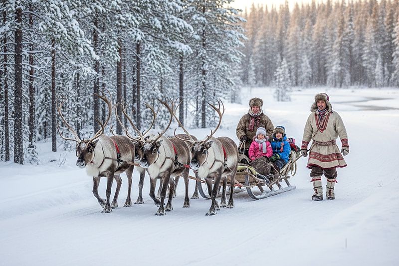 A reindeer sleigh ride in the snowy forest next to the village